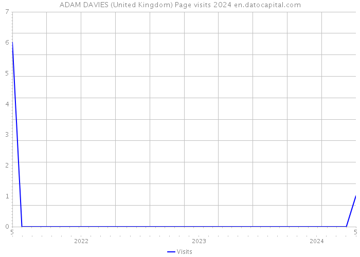 ADAM DAVIES (United Kingdom) Page visits 2024 