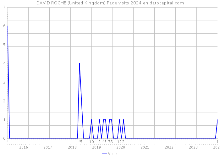 DAVID ROCHE (United Kingdom) Page visits 2024 