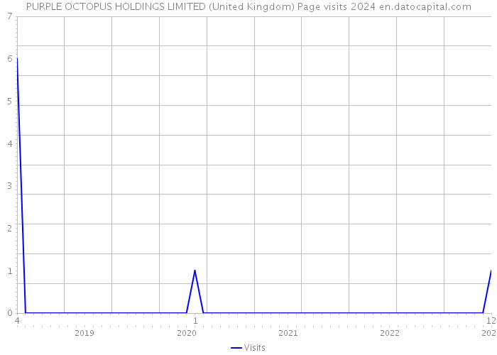 PURPLE OCTOPUS HOLDINGS LIMITED (United Kingdom) Page visits 2024 