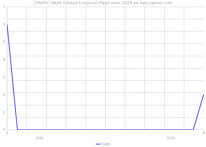 CHAFIC NAJIA (United Kingdom) Page visits 2024 