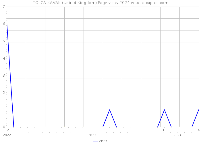 TOLGA KAVAK (United Kingdom) Page visits 2024 