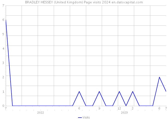 BRADLEY HESSEY (United Kingdom) Page visits 2024 