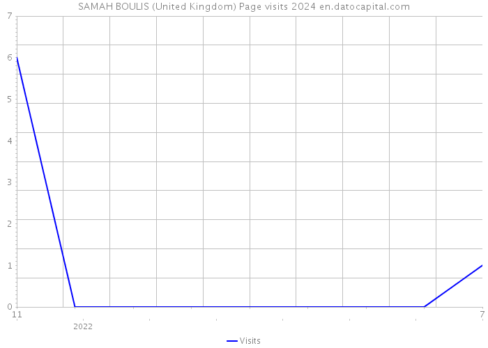SAMAH BOULIS (United Kingdom) Page visits 2024 
