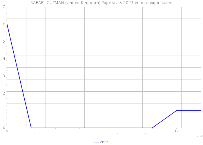 RAFAEL GUZMAN (United Kingdom) Page visits 2024 
