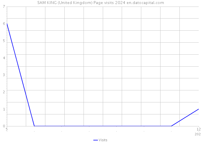 SAM KING (United Kingdom) Page visits 2024 