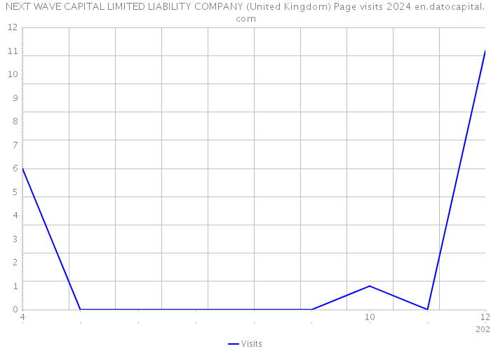 NEXT WAVE CAPITAL LIMITED LIABILITY COMPANY (United Kingdom) Page visits 2024 