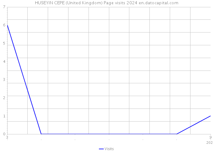 HUSEYIN CEPE (United Kingdom) Page visits 2024 