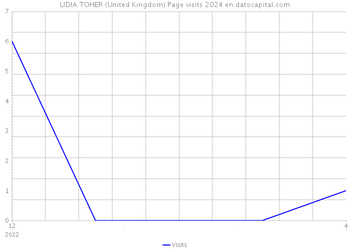 LIDIA TOHER (United Kingdom) Page visits 2024 