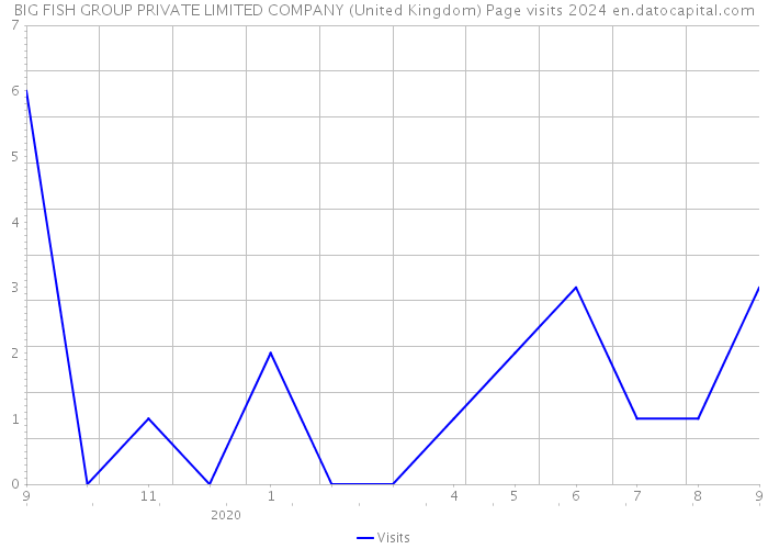 BIG FISH GROUP PRIVATE LIMITED COMPANY (United Kingdom) Page visits 2024 
