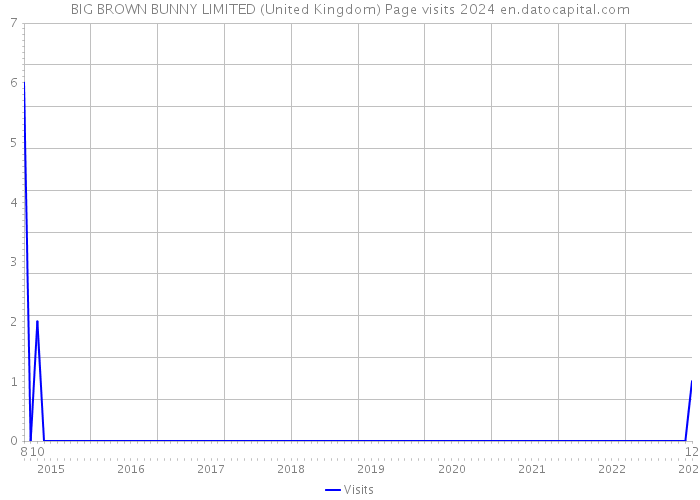 BIG BROWN BUNNY LIMITED (United Kingdom) Page visits 2024 