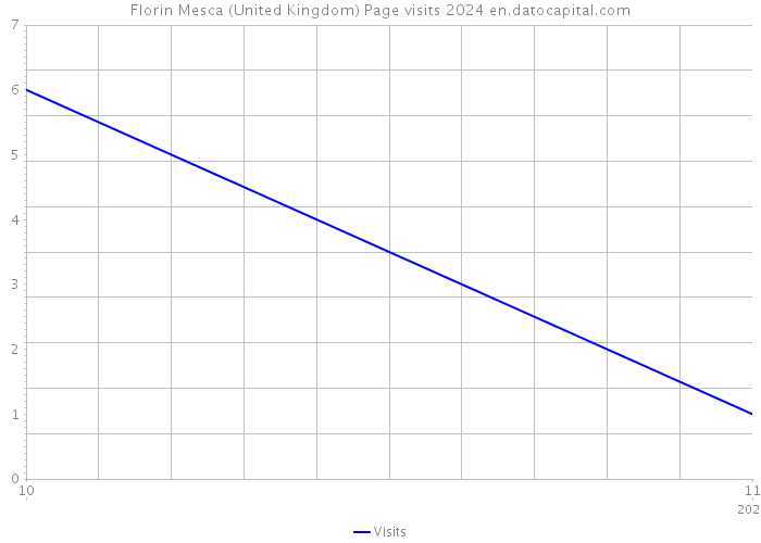 Florin Mesca (United Kingdom) Page visits 2024 