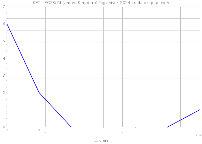 KETIL FOSSUM (United Kingdom) Page visits 2024 