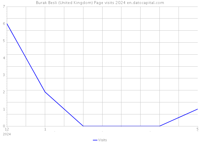 Burak Besli (United Kingdom) Page visits 2024 
