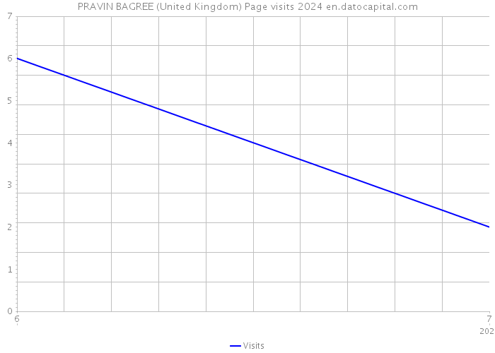 PRAVIN BAGREE (United Kingdom) Page visits 2024 
