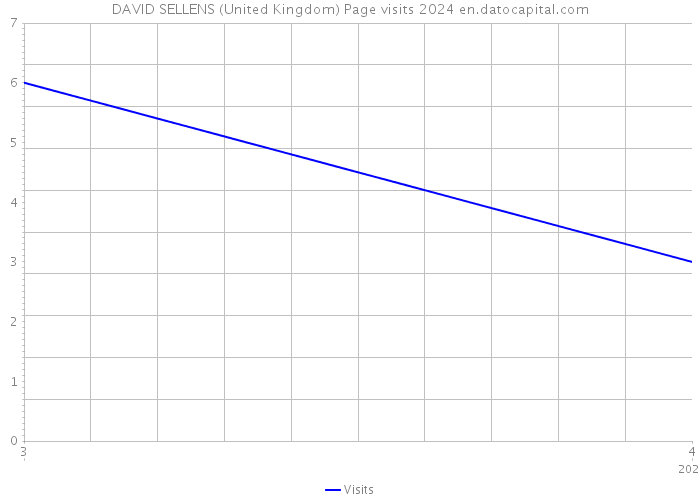 DAVID SELLENS (United Kingdom) Page visits 2024 