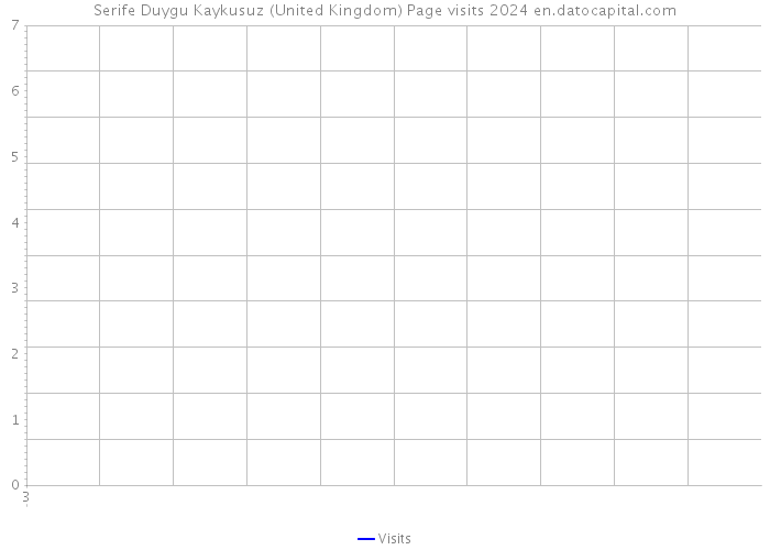 Serife Duygu Kaykusuz (United Kingdom) Page visits 2024 