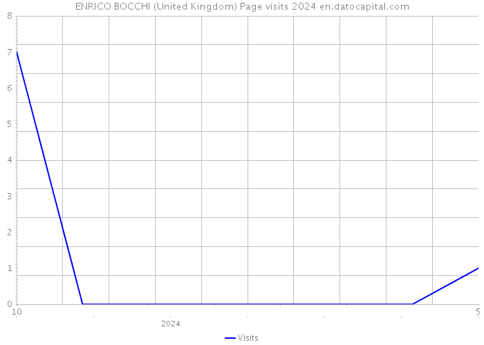 ENRICO BOCCHI (United Kingdom) Page visits 2024 