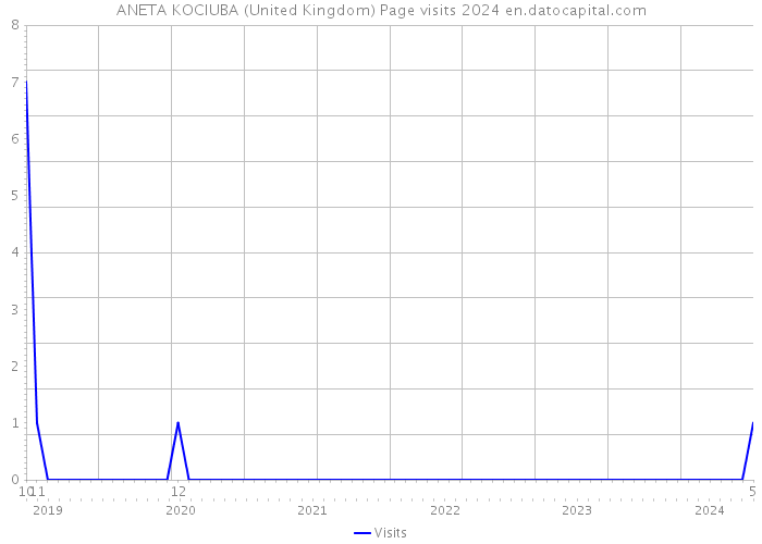 ANETA KOCIUBA (United Kingdom) Page visits 2024 