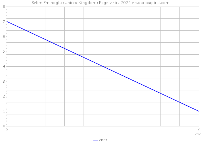 Selim Eminoglu (United Kingdom) Page visits 2024 