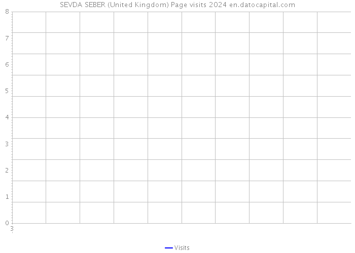 SEVDA SEBER (United Kingdom) Page visits 2024 