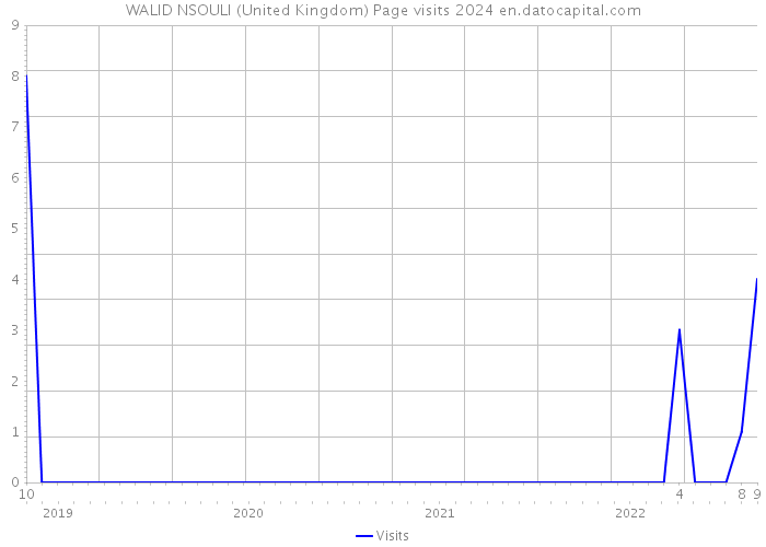 WALID NSOULI (United Kingdom) Page visits 2024 
