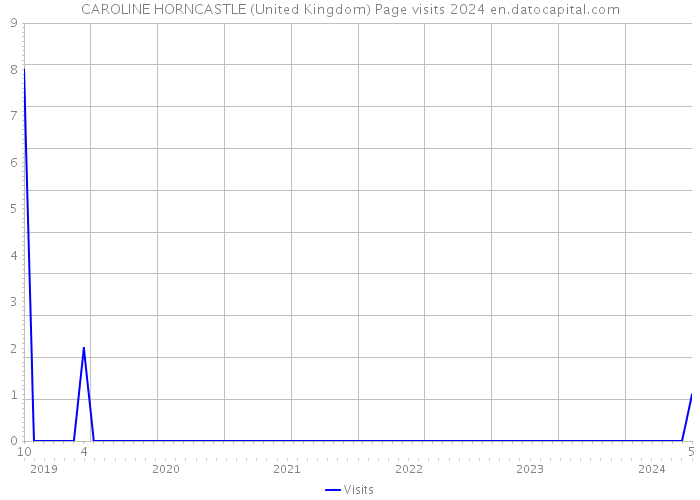 CAROLINE HORNCASTLE (United Kingdom) Page visits 2024 