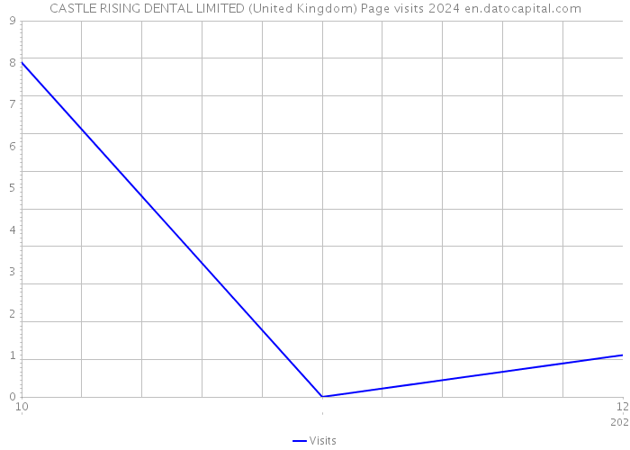 CASTLE RISING DENTAL LIMITED (United Kingdom) Page visits 2024 