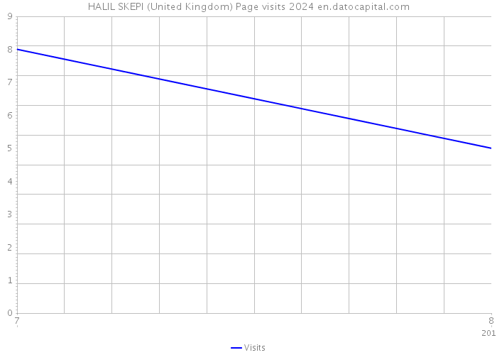 HALIL SKEPI (United Kingdom) Page visits 2024 