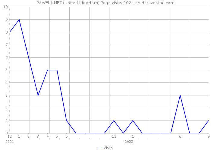 PAWEL KNEZ (United Kingdom) Page visits 2024 