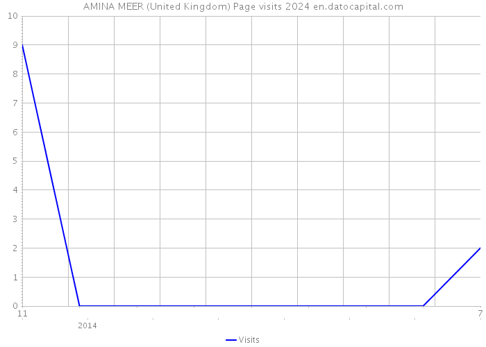 AMINA MEER (United Kingdom) Page visits 2024 