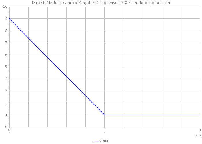 Dinesh Medusa (United Kingdom) Page visits 2024 