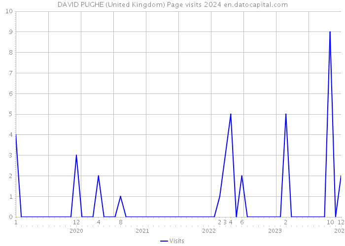 DAVID PUGHE (United Kingdom) Page visits 2024 