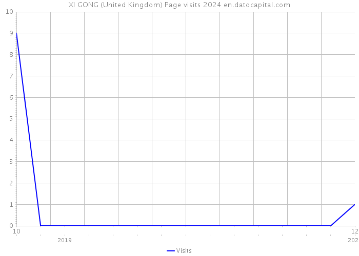 XI GONG (United Kingdom) Page visits 2024 