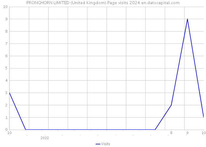 PRONGHORN LIMITED (United Kingdom) Page visits 2024 