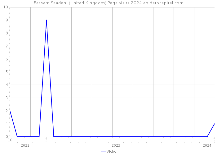 Bessem Saadani (United Kingdom) Page visits 2024 