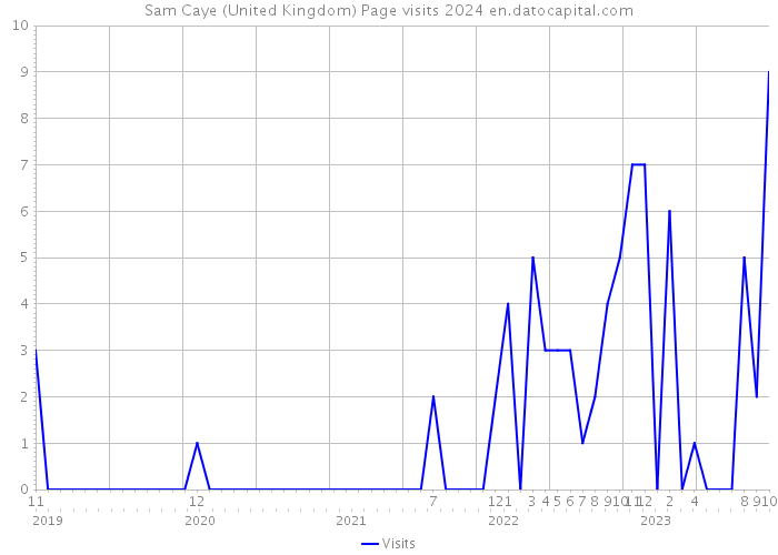 Sam Caye (United Kingdom) Page visits 2024 