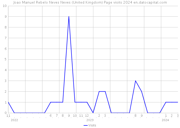 Joao Manuel Rebelo Neves Neves (United Kingdom) Page visits 2024 