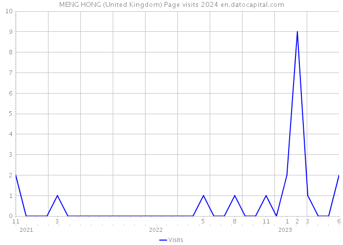 MENG HONG (United Kingdom) Page visits 2024 