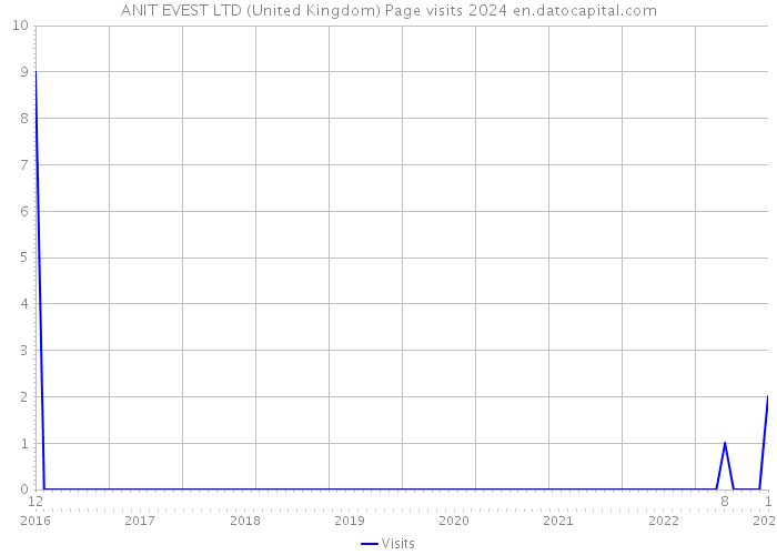 ANIT EVEST LTD (United Kingdom) Page visits 2024 