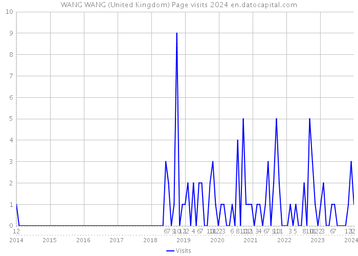 WANG WANG (United Kingdom) Page visits 2024 