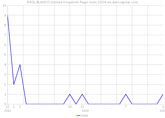 RAÚL BLANCO (United Kingdom) Page visits 2024 