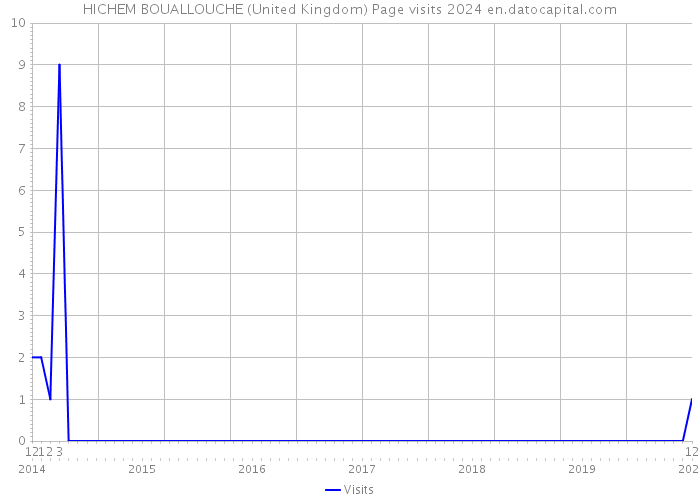 HICHEM BOUALLOUCHE (United Kingdom) Page visits 2024 