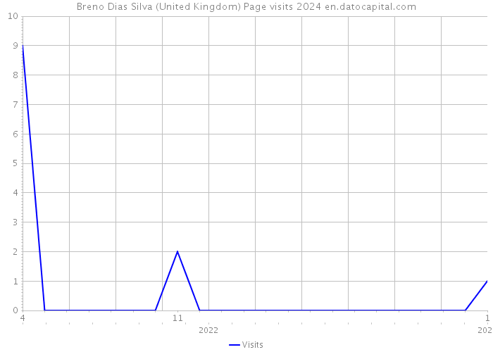 Breno Dias Silva (United Kingdom) Page visits 2024 