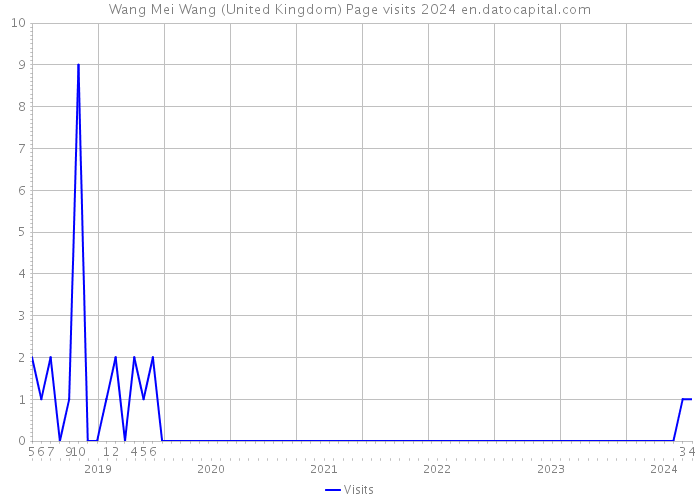 Wang Mei Wang (United Kingdom) Page visits 2024 