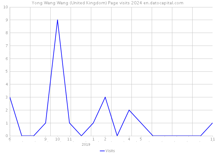 Yong Wang Wang (United Kingdom) Page visits 2024 
