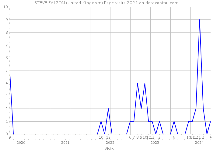 STEVE FALZON (United Kingdom) Page visits 2024 