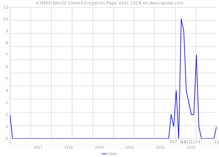 AYMAN BAUGI (United Kingdom) Page visits 2024 