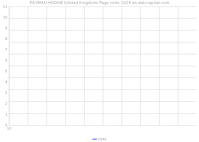 PAYMAN HODAIE (United Kingdom) Page visits 2024 