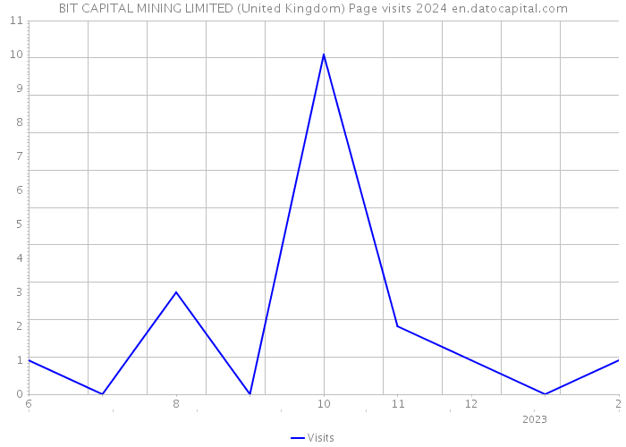 BIT CAPITAL MINING LIMITED (United Kingdom) Page visits 2024 