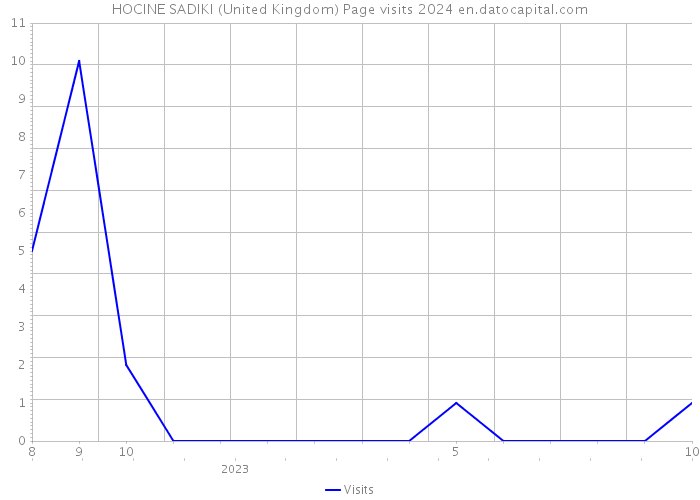 HOCINE SADIKI (United Kingdom) Page visits 2024 